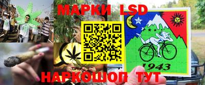 гидра Славянск-на-Кубани