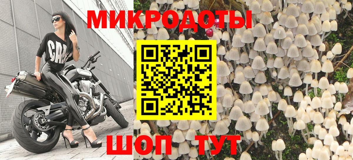 Галлюциногенные грибы Cubensis  Вход с VPN  Саратов  Псилоцибиновые грибы мухоморы 