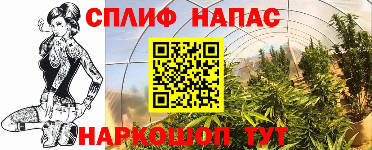 Конопля THC 21%  Бошки Шишки план  Конопля THC 21%  Каннабис THC 21%  Вход с VPN  Саратов 
